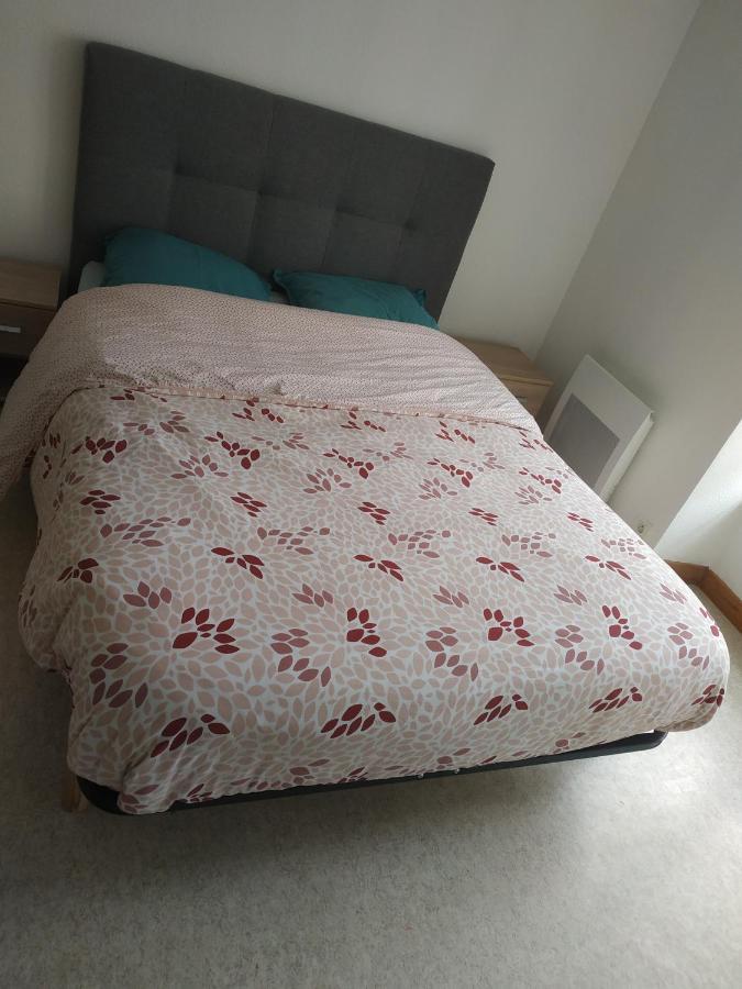 Escale Apartment Клермон-Феран Екстериор снимка